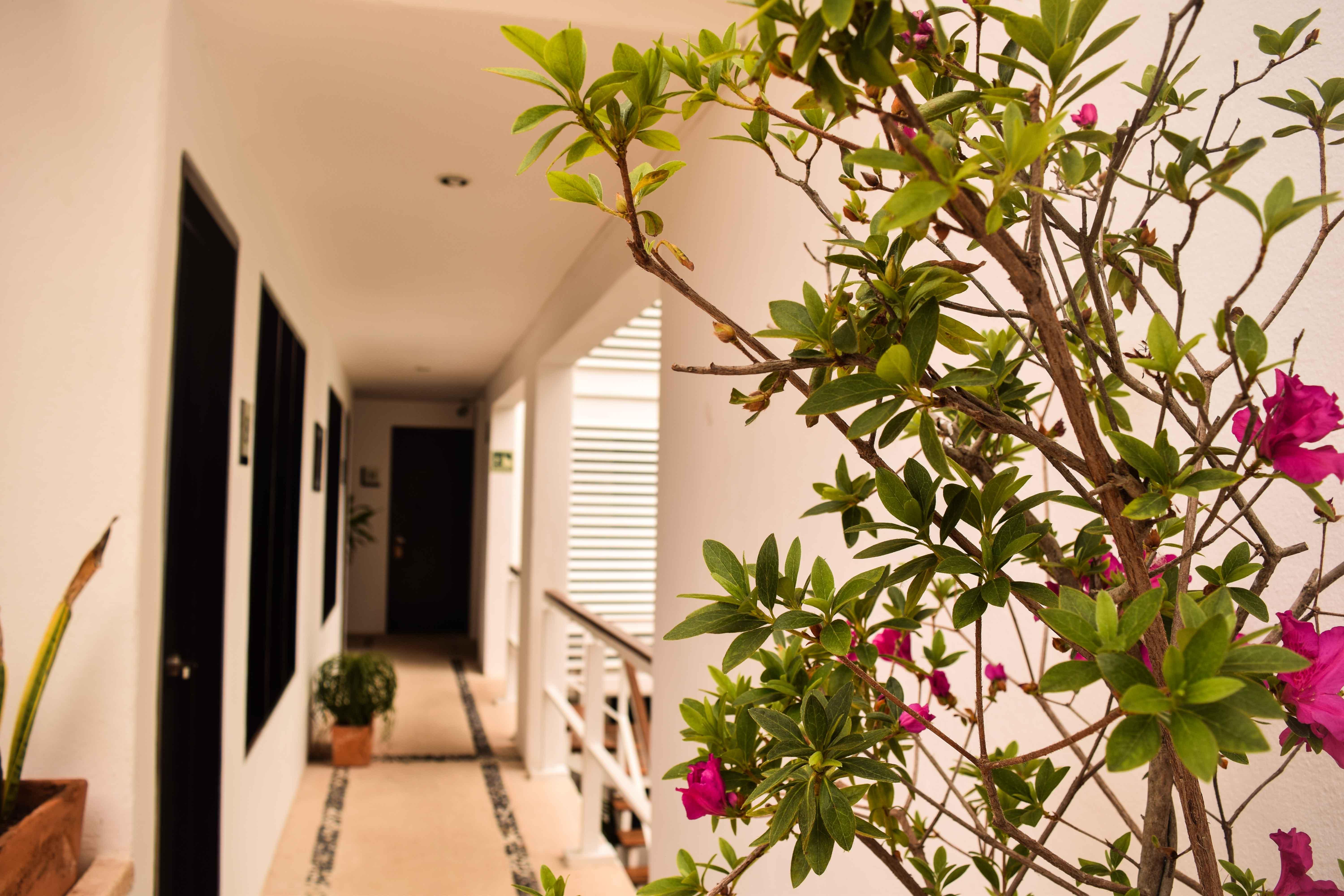 Casa Ticul Hotel Boutique - 5Th Ave (Adults Only) Playa del Carmen Exteriér fotografie